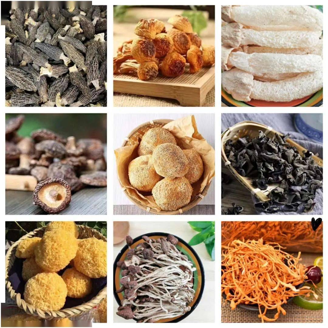 健康养生滋补品将成为微商的又一块蓝海全民养生时代开启欢迎加入我们