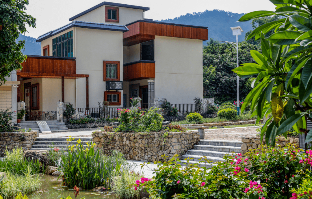 惊艳增城这16户家庭获评乡村最美庭院称号