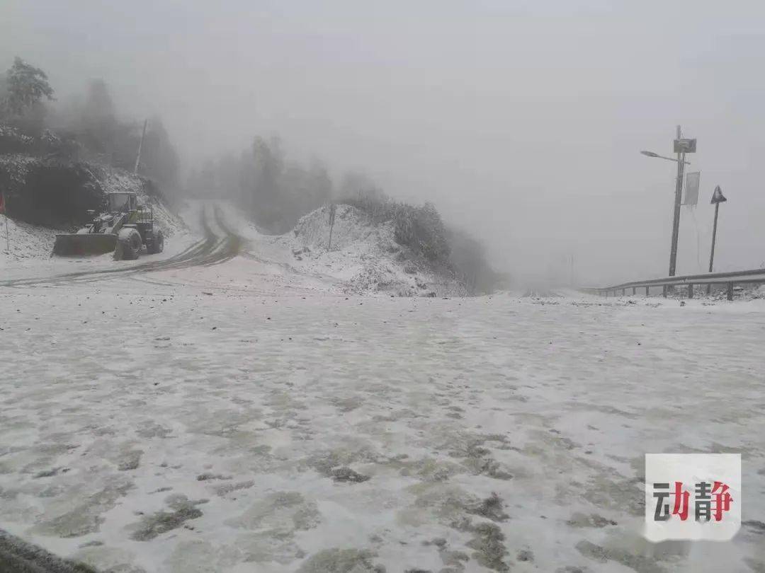 下雪了,贵州各地的雪景都在这里!你家那里下了吗?