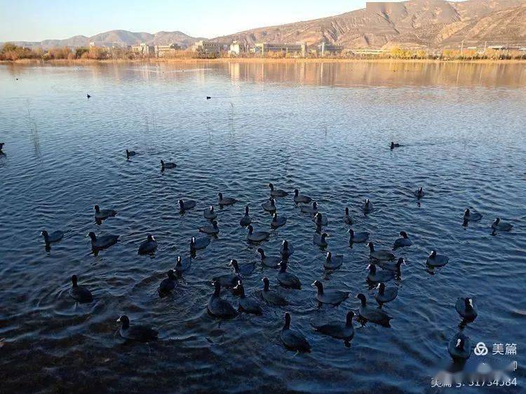 张剑香喷喷的定西浆水面