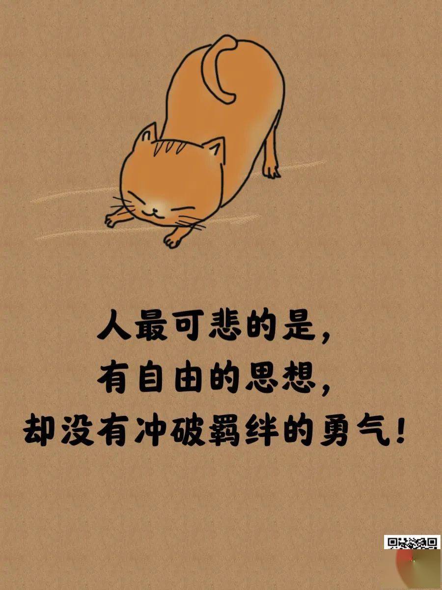 让你瞬间活的清醒的妙言
