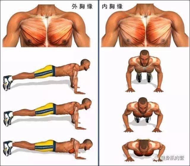 胸大肌训练动作20个图片