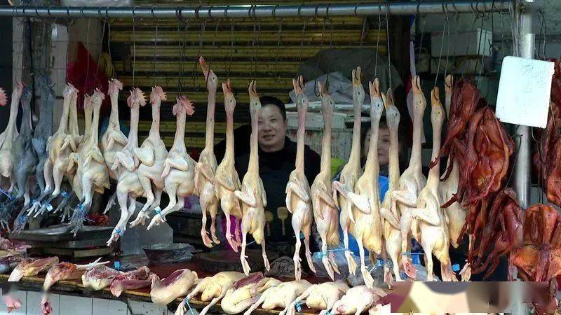 宜宾这个市场上的鸡鸭鹅鸽兔有身份证了吃的放心