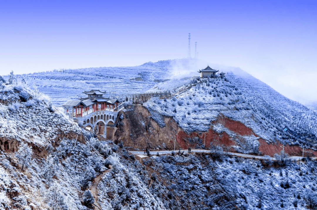 的冰晶悬挂枝桠与冷空气撞了个满怀夜里水汽飘上枝头铺成一条嵌满画