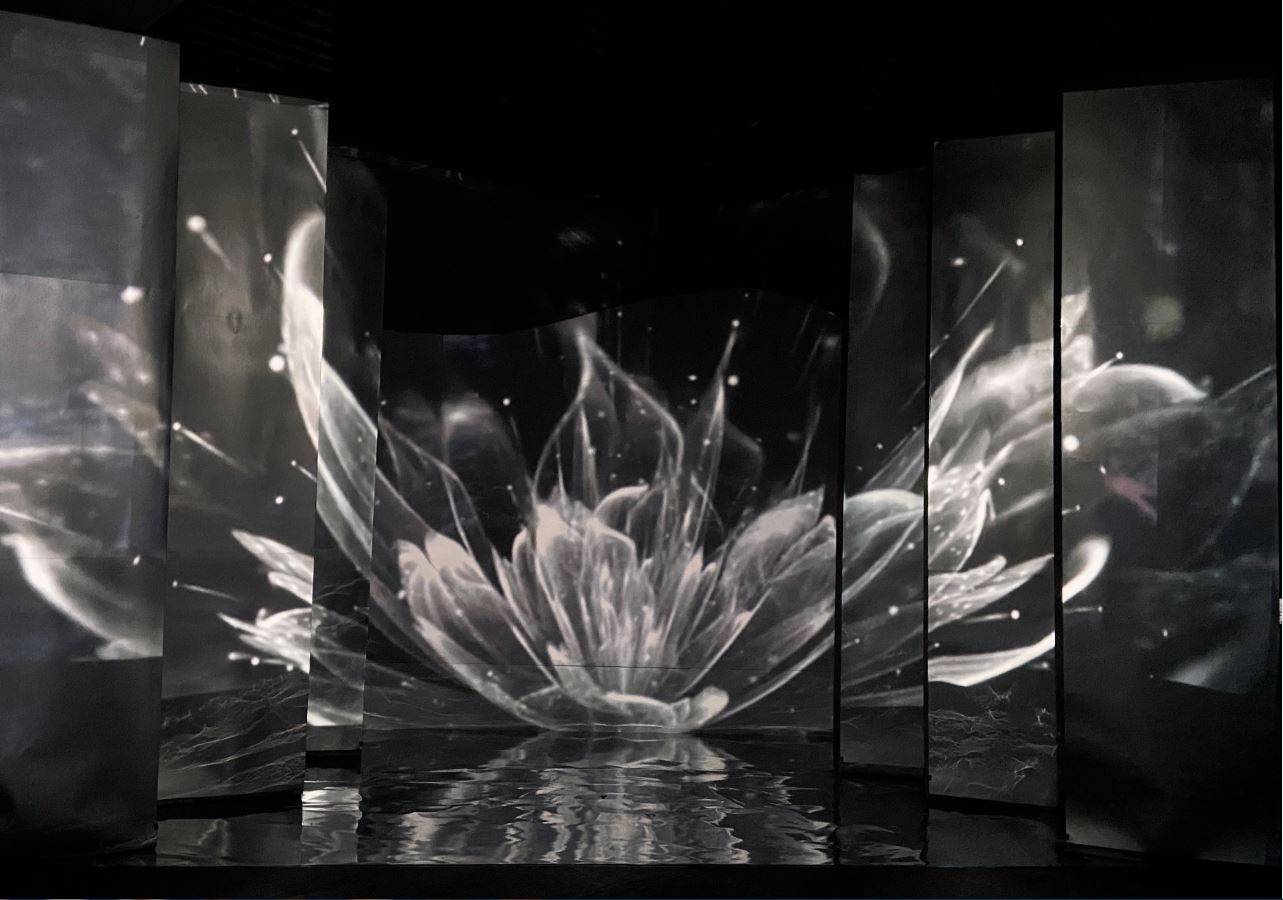 看多了平面艺术这个新媒体展览给你不一样的视觉体验