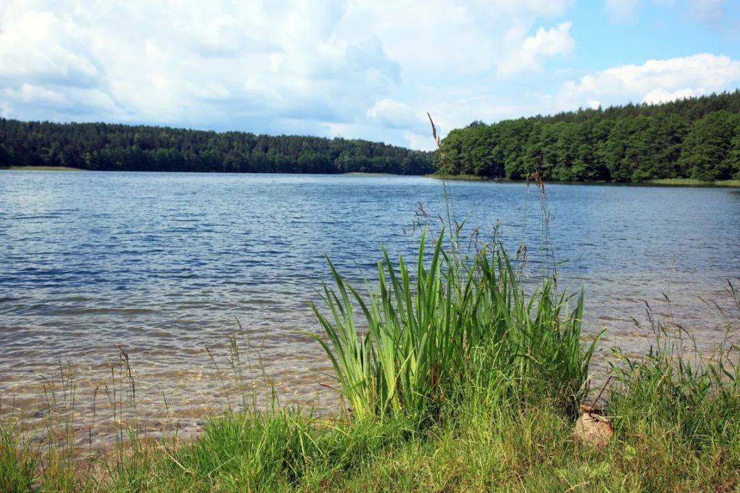 浅谈草在山水林田湖草生命共同体中的地位与作用