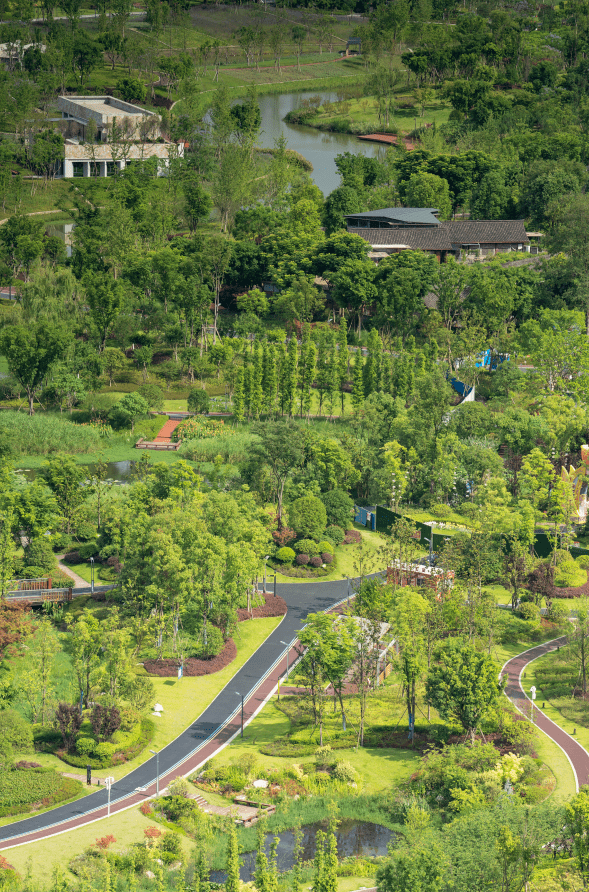 行走遂宁观音湖生态湿地公园