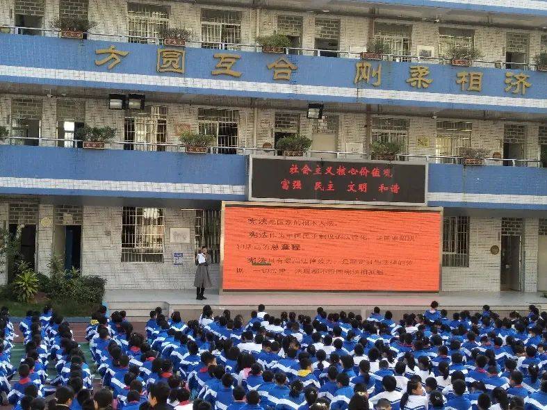 一起来学法!金兰苑小学用这样的方式打开"国家宪法日"
