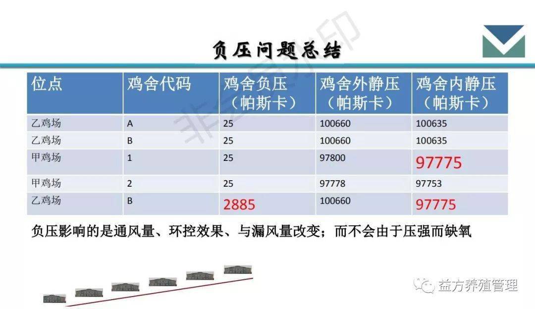 新思维养殖:笼养肉鸡饲养管理要点与疫病防控(全篇|建议收藏)