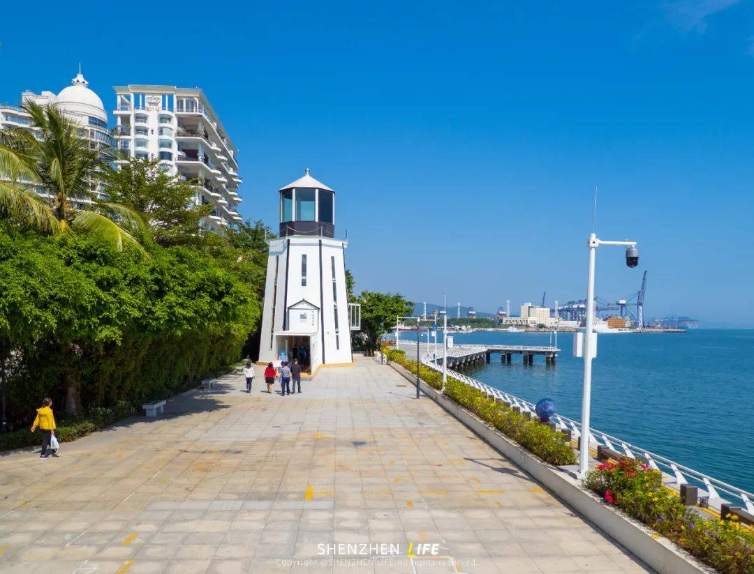 深圳有900 個圖書館,以燈塔為造型的圖書館,僅有這一個.