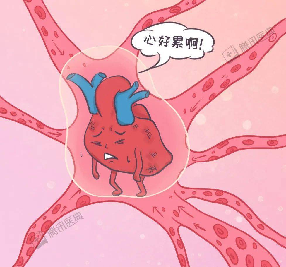 大量回收的血液会让心脏承受巨大负担,心脏需要更多的力量收缩来泵血