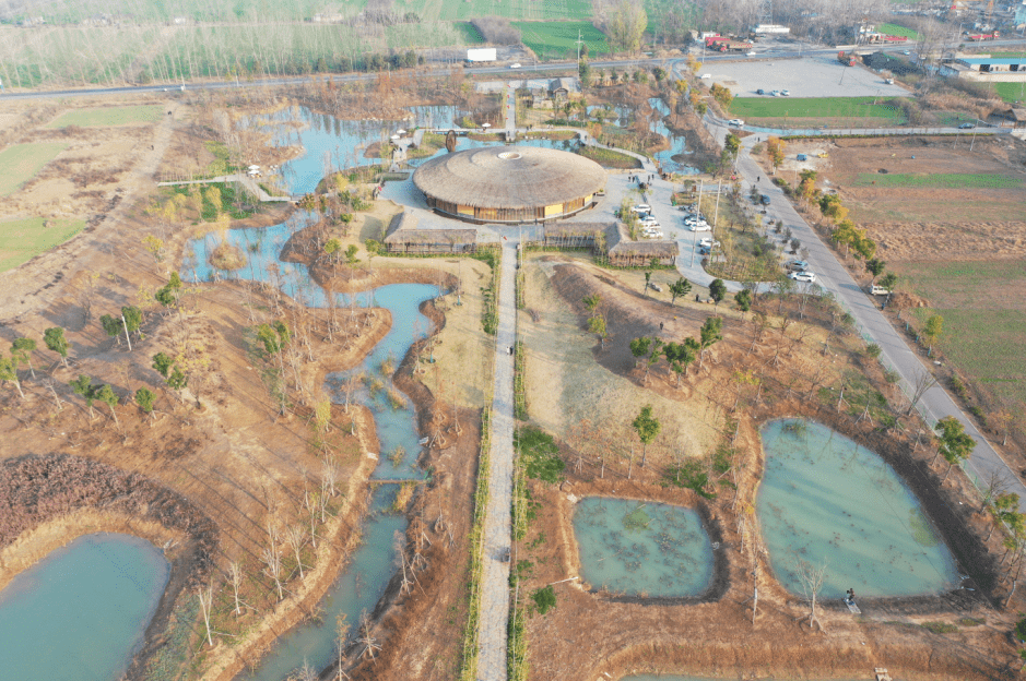 涡阳的网红打卡地现在你去了吗