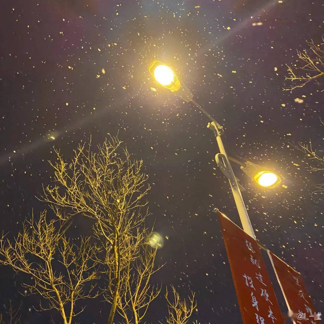 人未眠!这样的青城雪美景美人更美