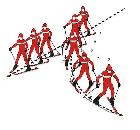 滑雪平行转弯动作分解图片