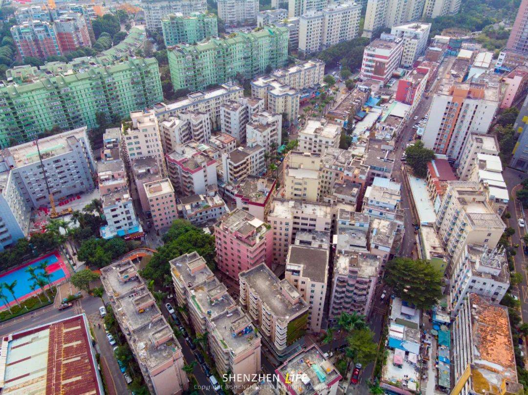 在上世纪80年代,桂庙新村曾贡献出大量土地,支持深圳大学建设;到了上