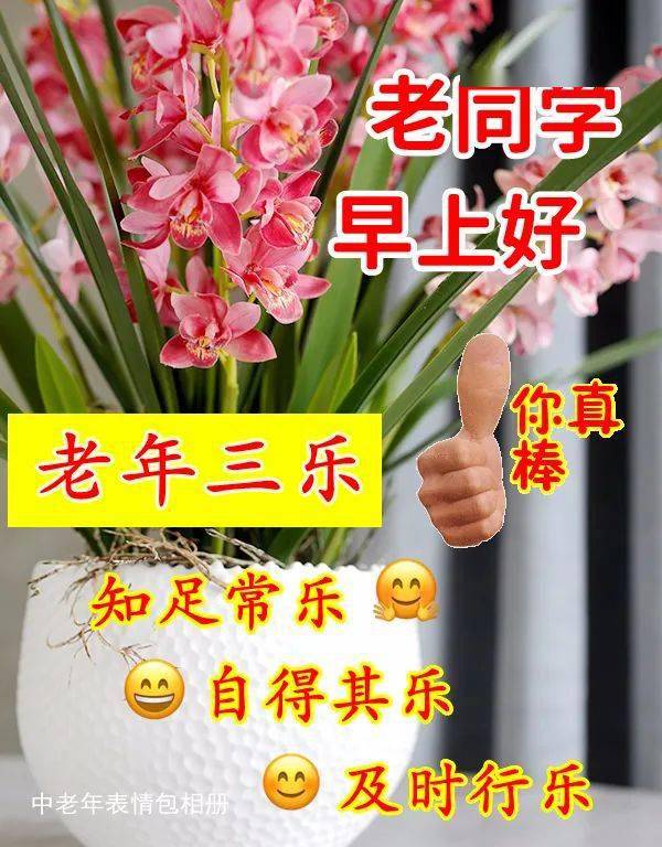 老同学早上好表情包愿今年的你是顺利的今生的你是幸福的