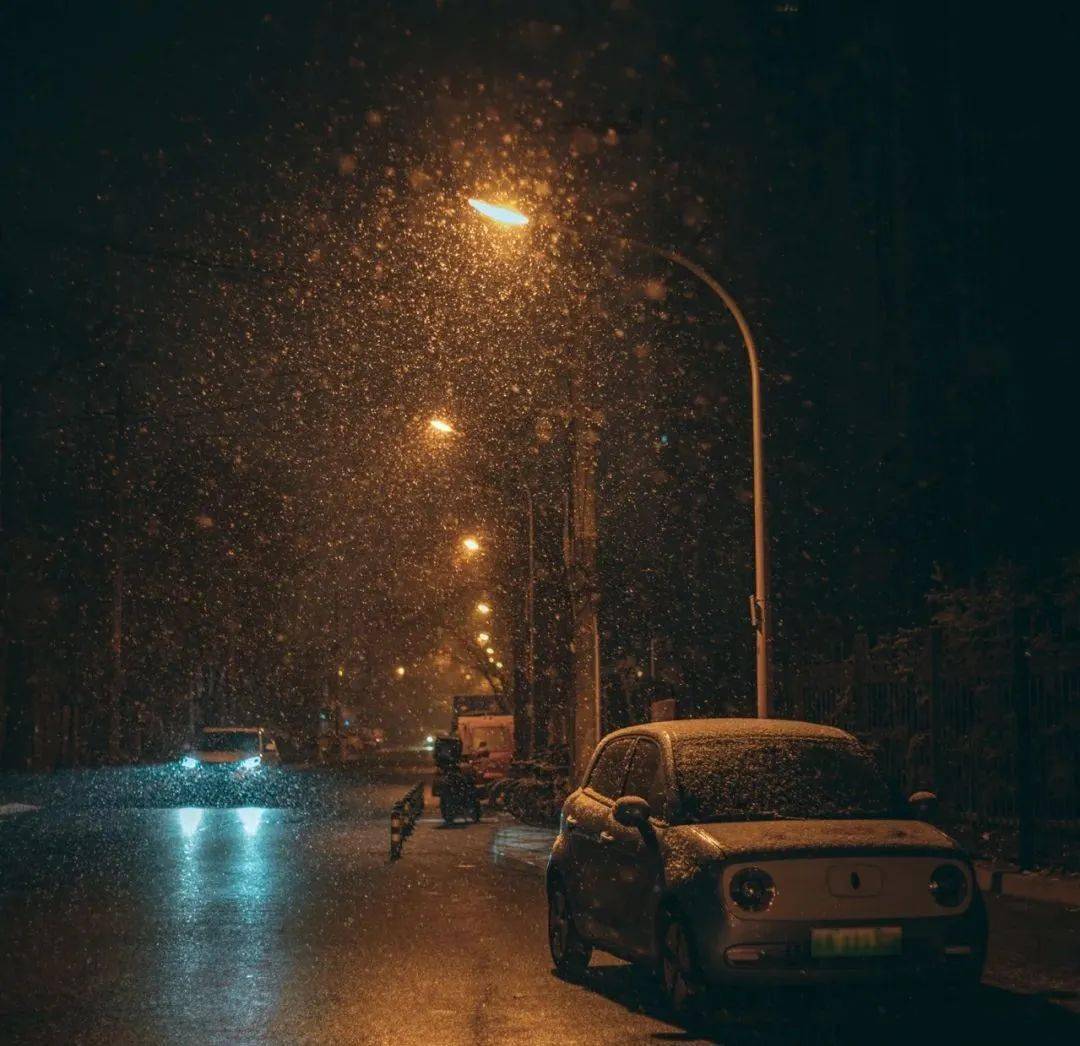 流年爱无边 | 《逐光》