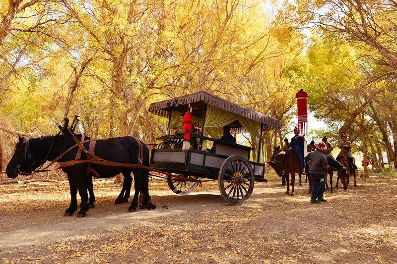 近年来,众多影视剧组在乌尔禾留下了大量影视剧拍摄基地,目前已建成
