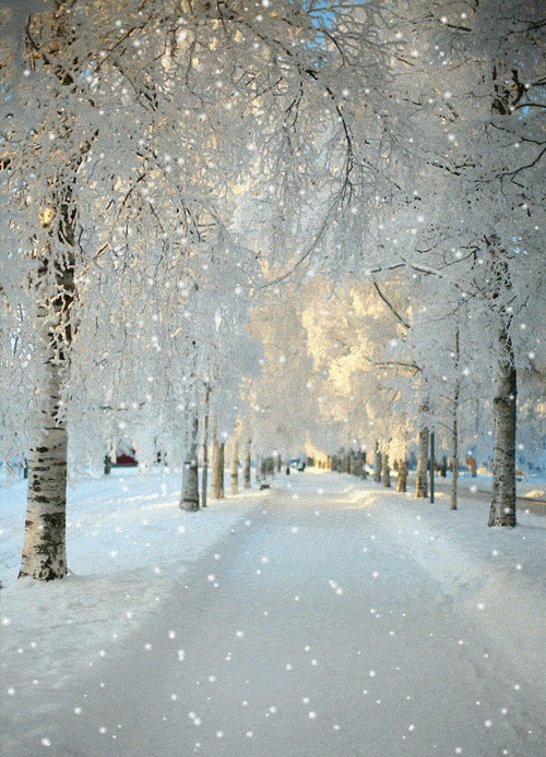 爱上一场大雪,恋上一个冬天