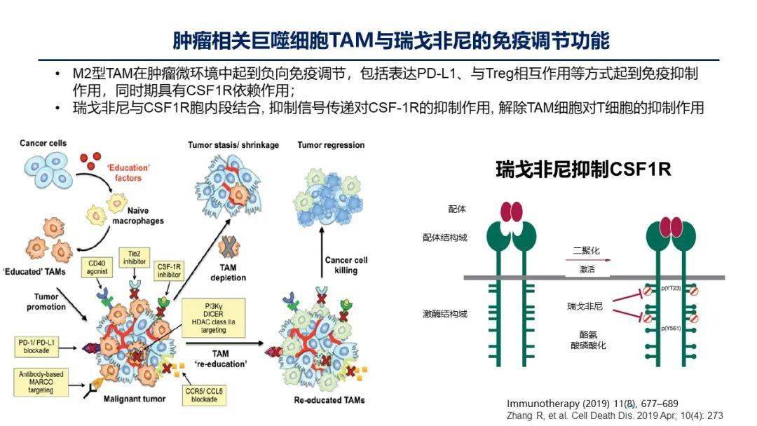 肝癌一线治疗靶向联合免疫,耐药了怎么办?_肿瘤