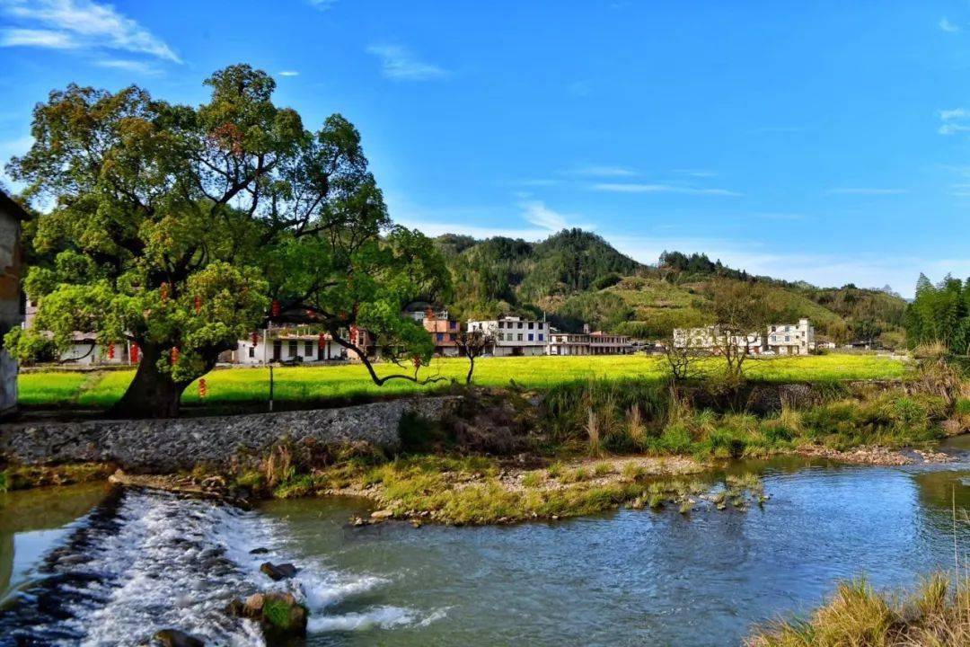 恭喜德化县上涌镇曾坂村