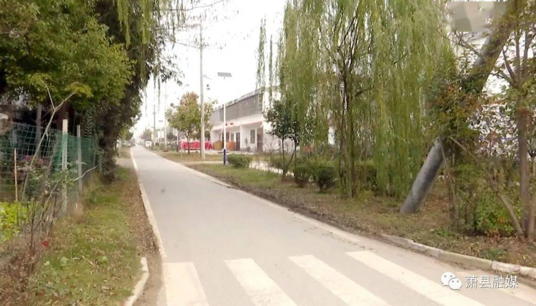 走向我们的小康生活石林乡陶楼村环境整治村庄更美