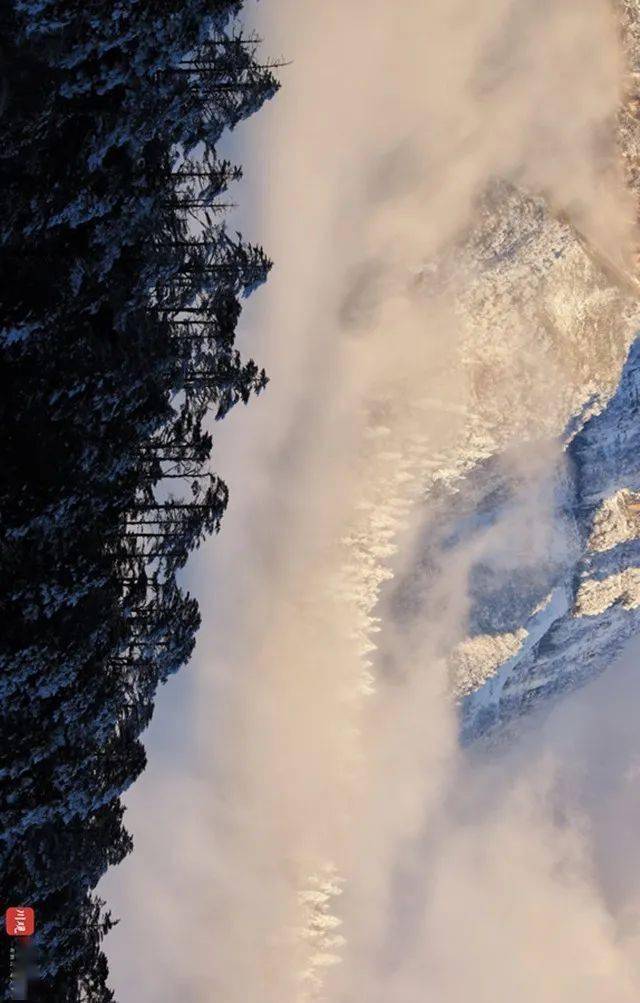 層如濤起伏的雲海出現日照金山的美景變得明朗起來也撩開薄霧輕紗之前