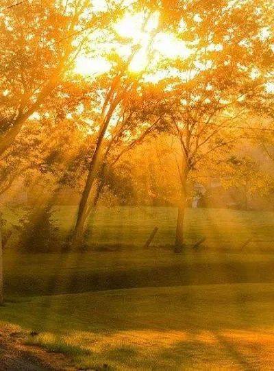 艺电台裂缝中的阳光