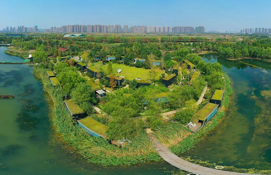 曼漫生活绿起来森林里面有间房