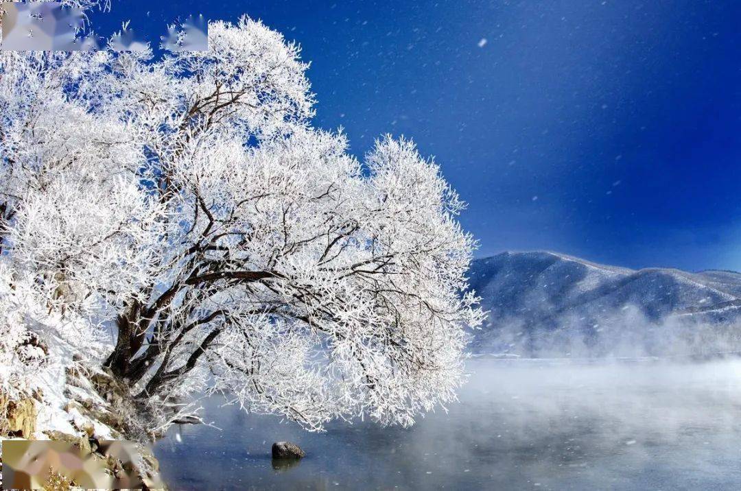 传统文化空间站三九天寒飞雪无声天地白