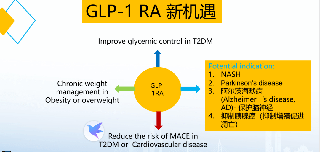 写意报告鲍靖glp1受体激动剂的新机遇