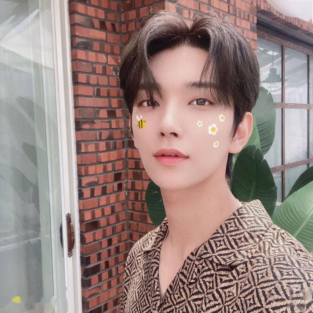 微信头像seventeen洪知秀