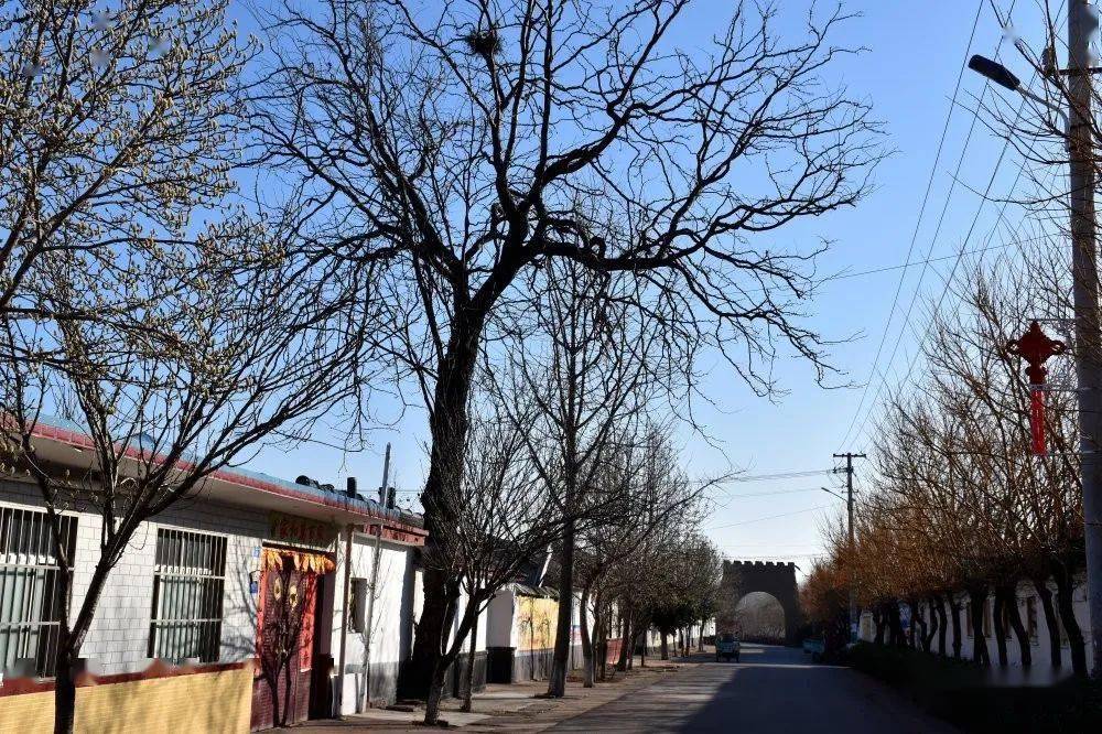 诸城这个小村子火了你听说过吗