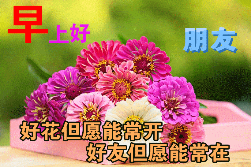 最新版非常漂亮的早上好表情图片温馨早安心语语录