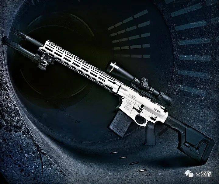 火了一阵子的ddmk18丹尼尔防御公司枪械美图欣赏