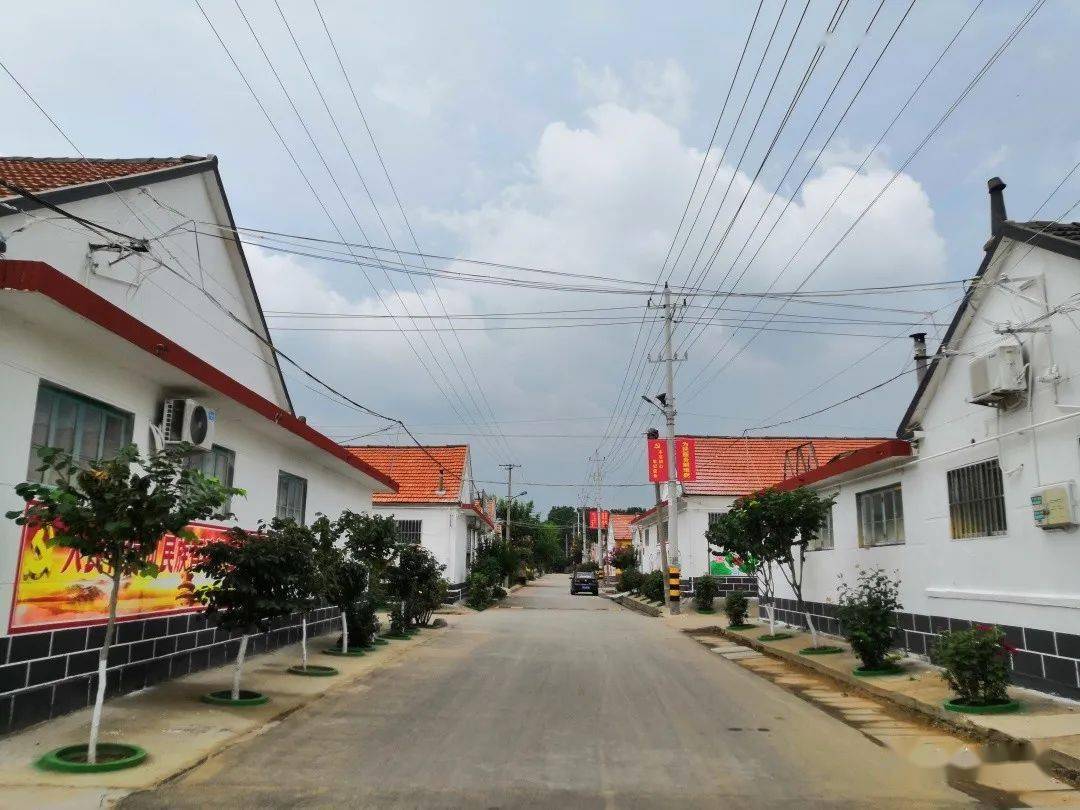 2020年镇街区新变化柏城镇篇