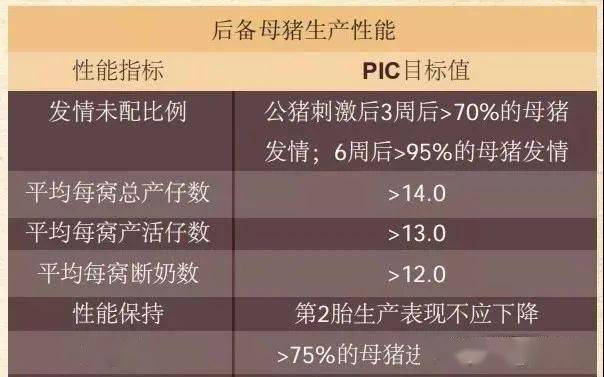 后备母猪饲养管理9大关键点