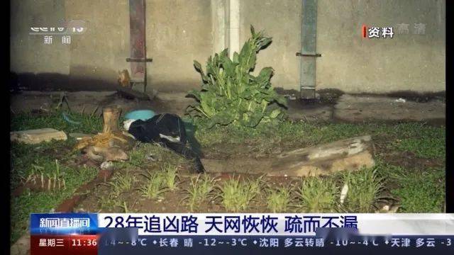 1992年3月20日晚,22岁的南京医学院大学生林某,在校园内被人用钝器击