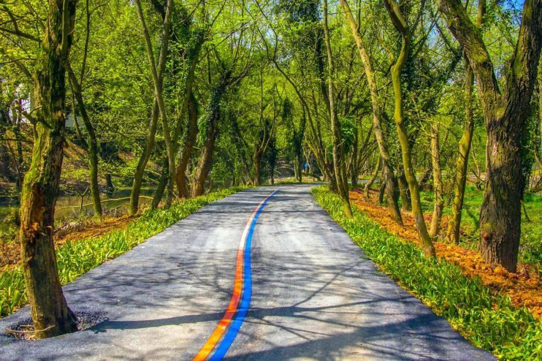 2900公里颜值超高这些家门口的最美绿道你都去过了吗