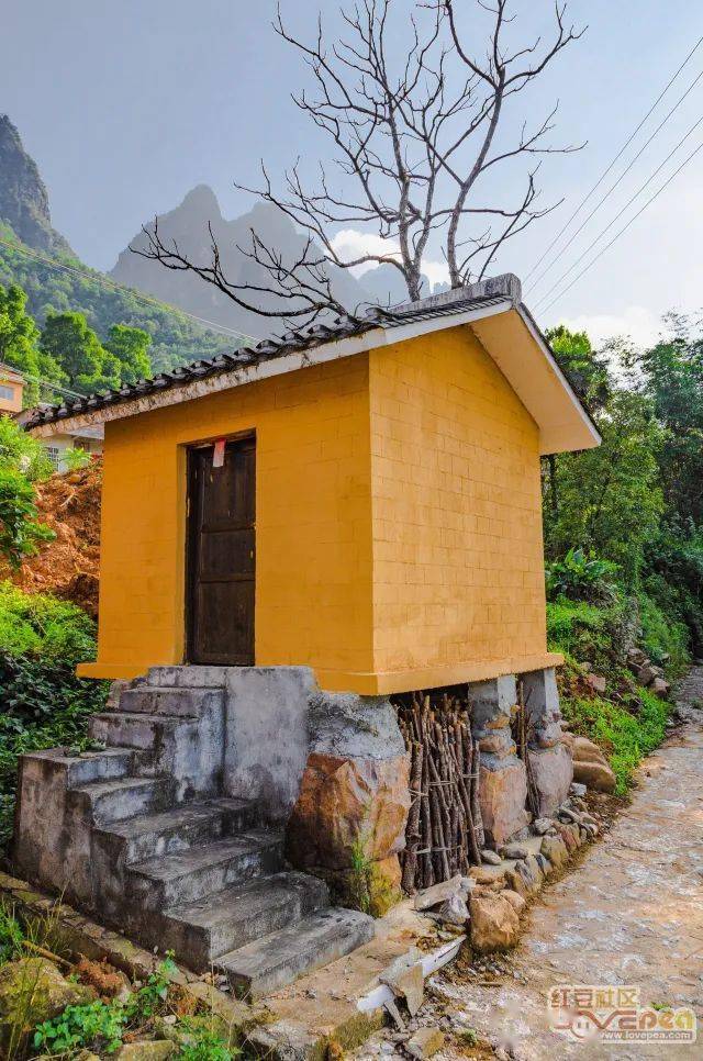 【网眼看来宾】大瑶山中美如画——走访金秀六巷乡