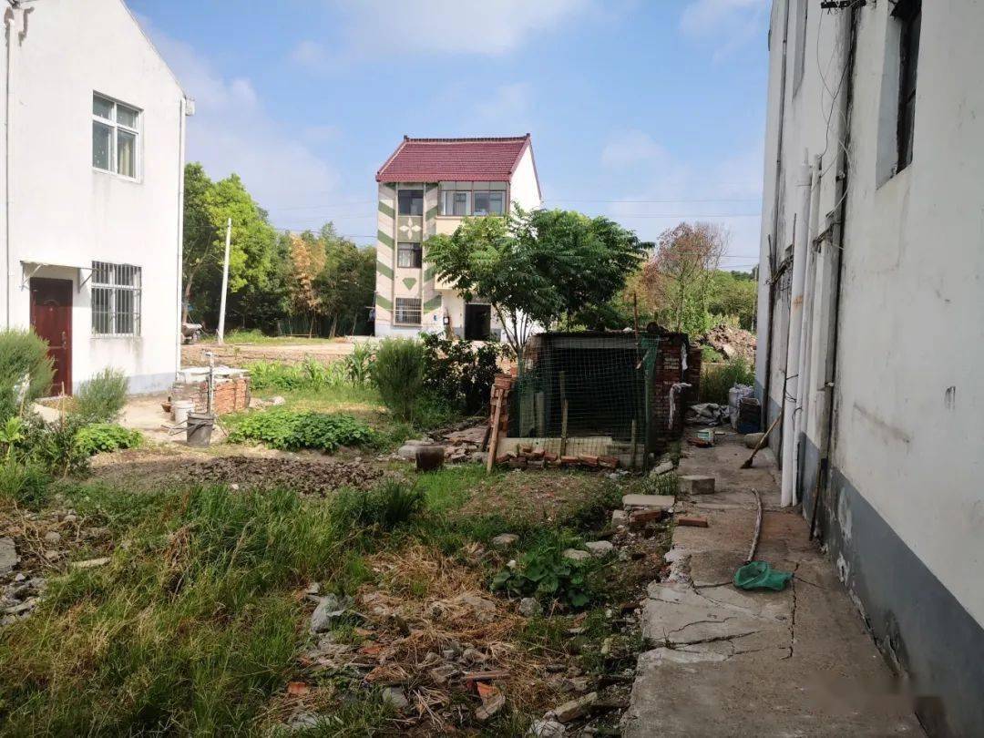 人居环境整治让焦家村美丽蝶变