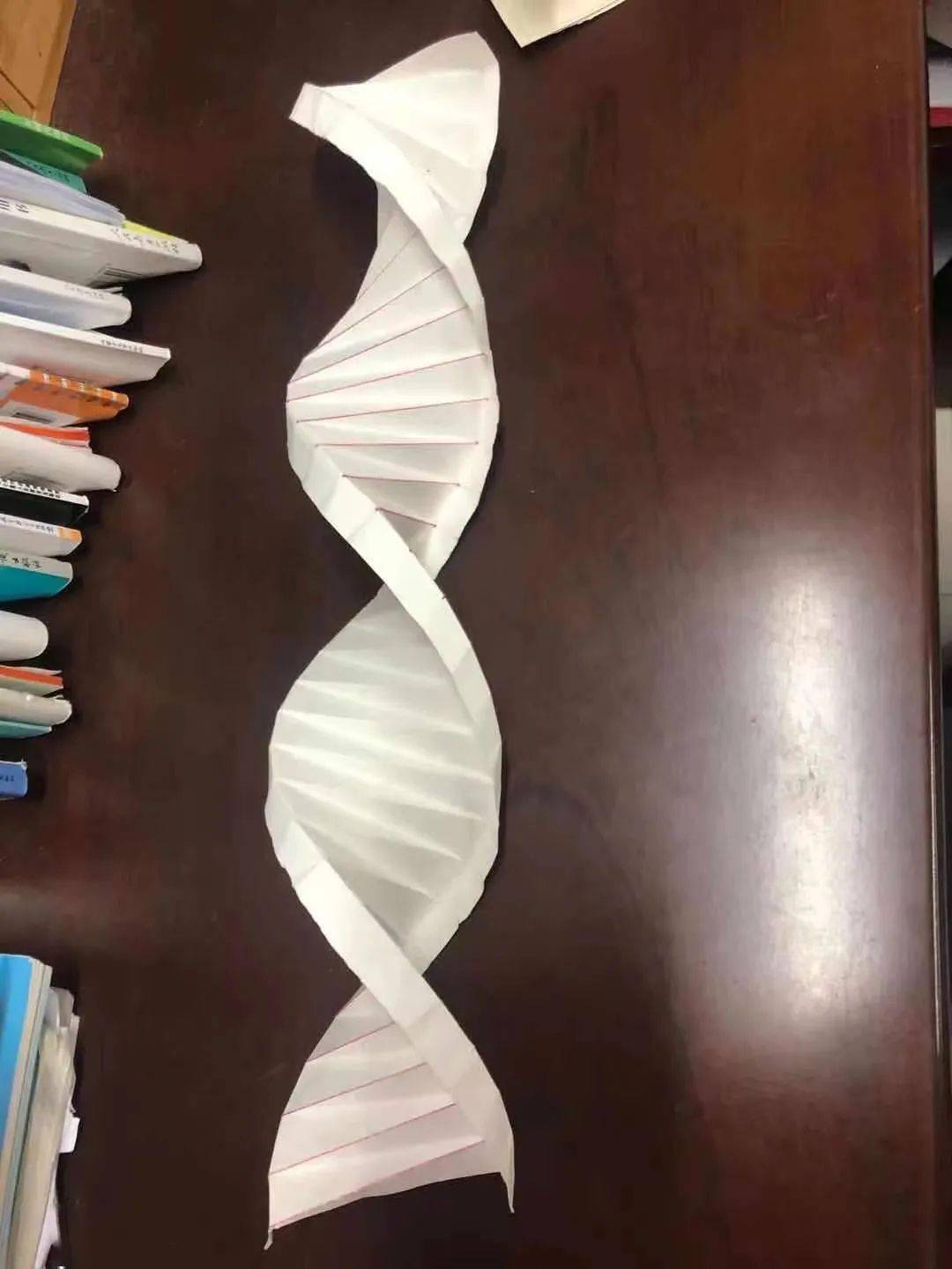 让生物课堂活起来——我校茶山校区高二年级举行制作dna分子结构模型