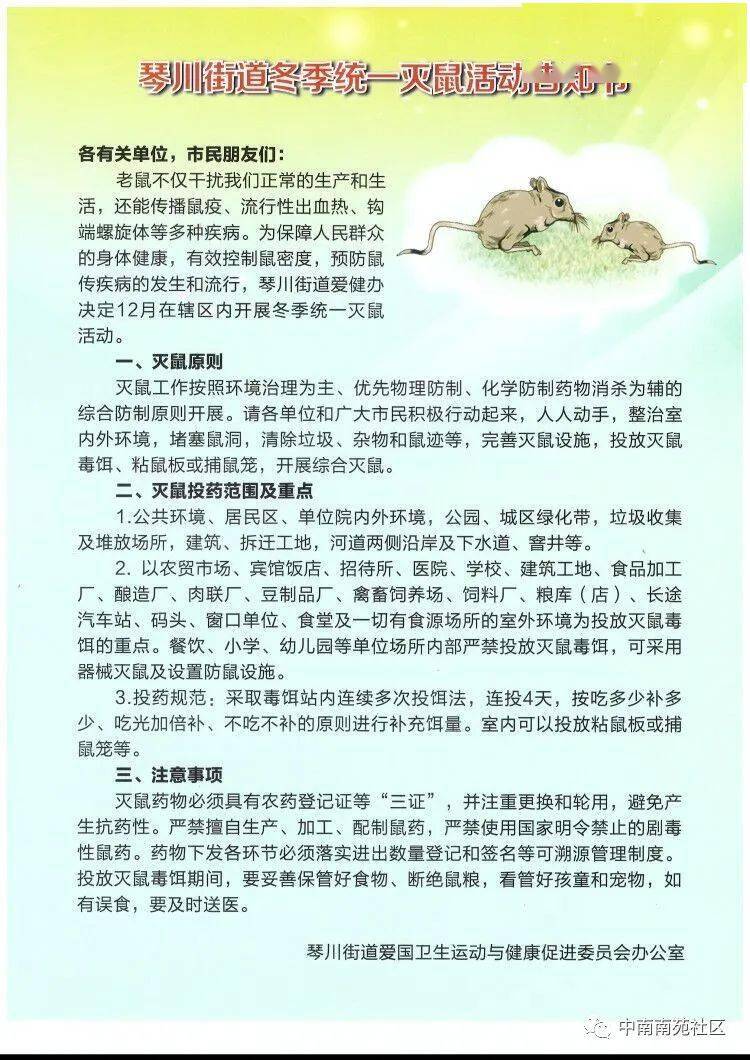 春季灭鼠宣传图图片