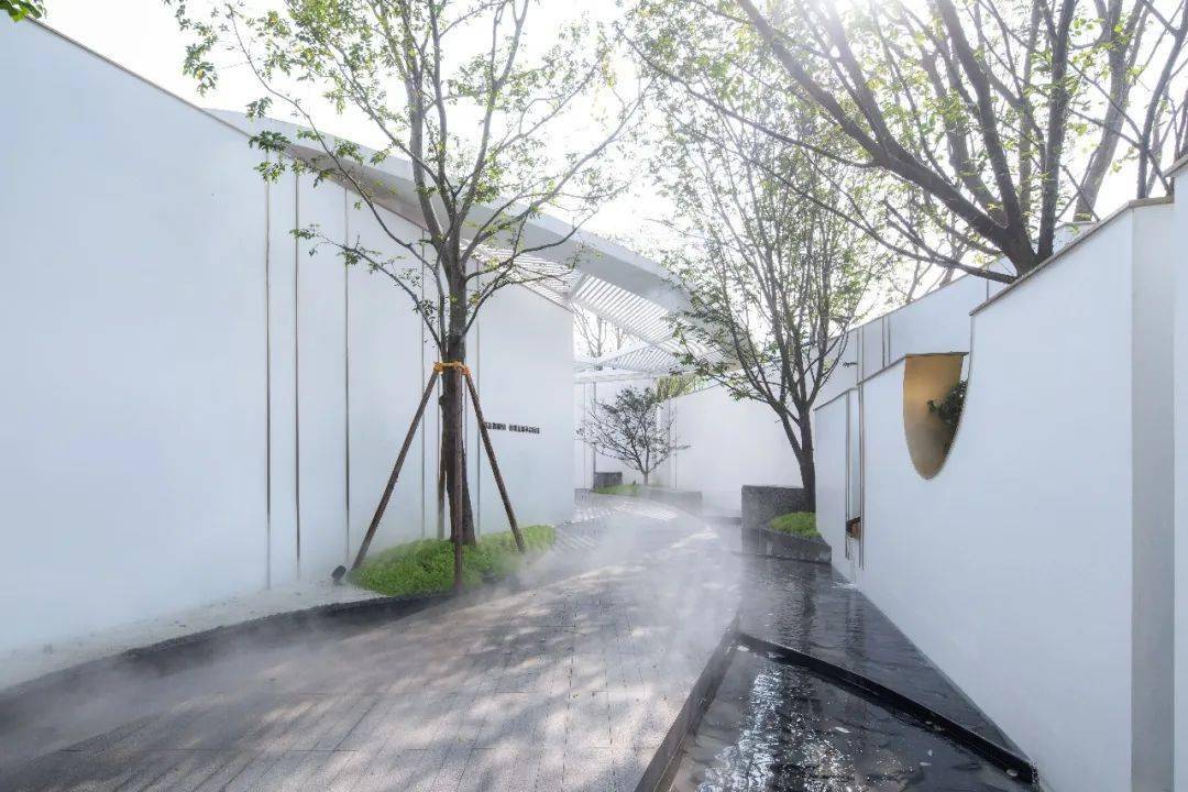 任凭摇曳树影恣意投射在道路之上,以白墙作为载体,光影静谧,将空间