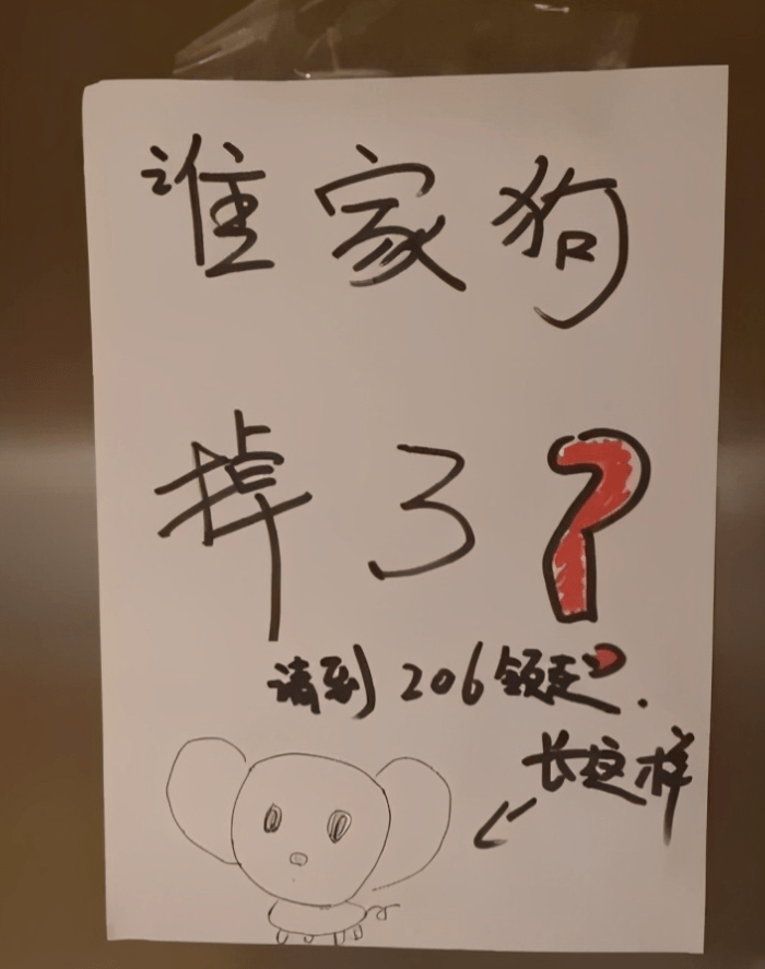 小哥捡到一只狗,画了一张寻主启示后……网友:"这狗画的太像了!