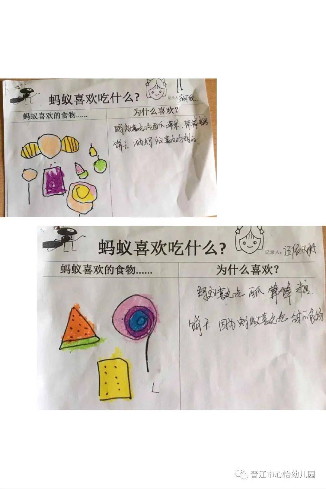 蚂蚁喜欢的食物幼儿园图片