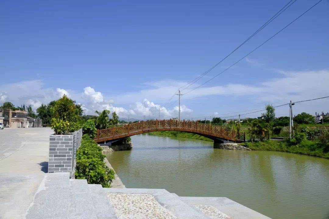 菩提古樹公園位於台山市廣海鎮靖安村龍崗村,龍崗村是江門市級非物質