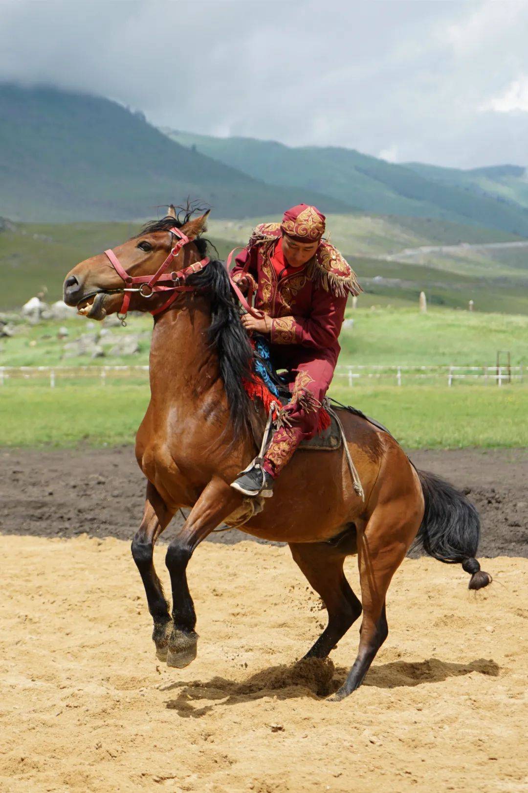 『打卡阿勒泰』三餐三季,毡房里的是家,是温暖的生活