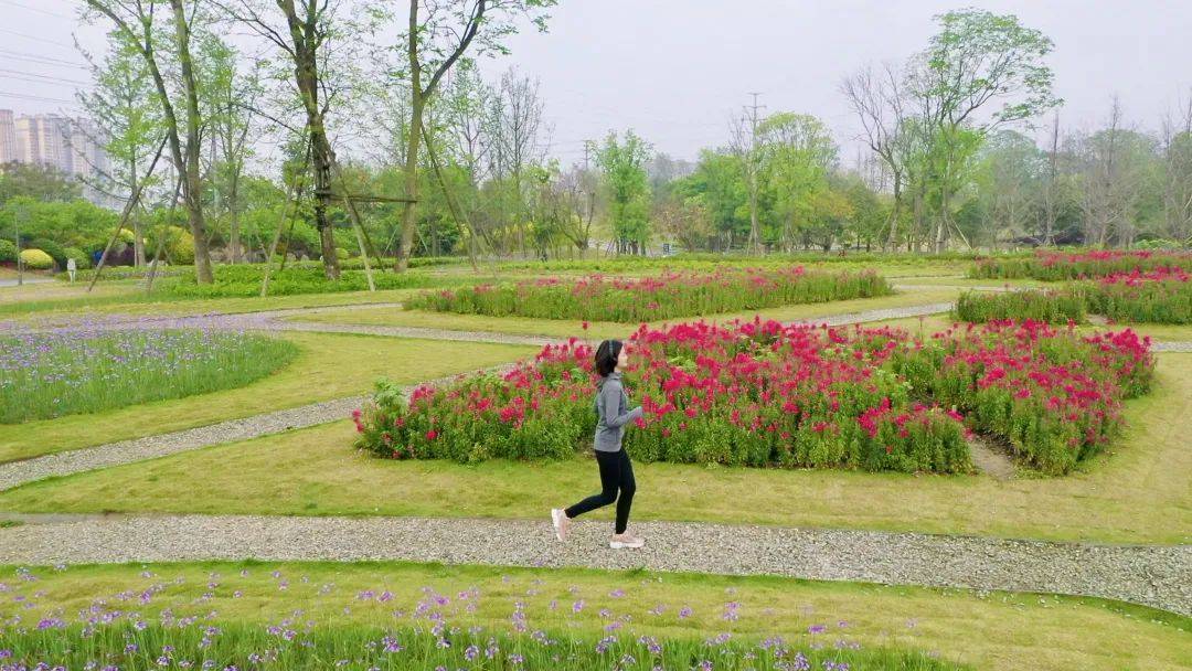 最值得堂堂期待的在建景點來寶沱溼地公園一定名列其中它背靠龍泉山脈