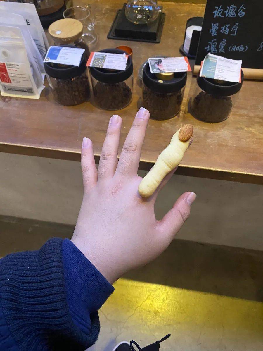 鼓楼西员工为了我们都是断手生物展览都拍了些啥玩意儿